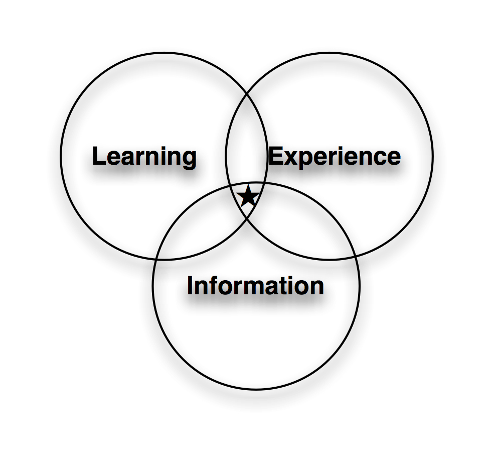Learning/Information/Experience Design