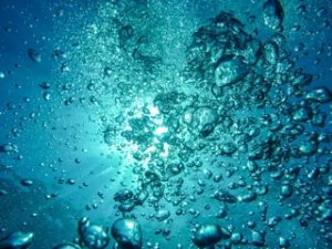 Bubbles in water with light behind